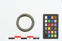 Foto von Bronzering (NHMW-PRAE-026638)